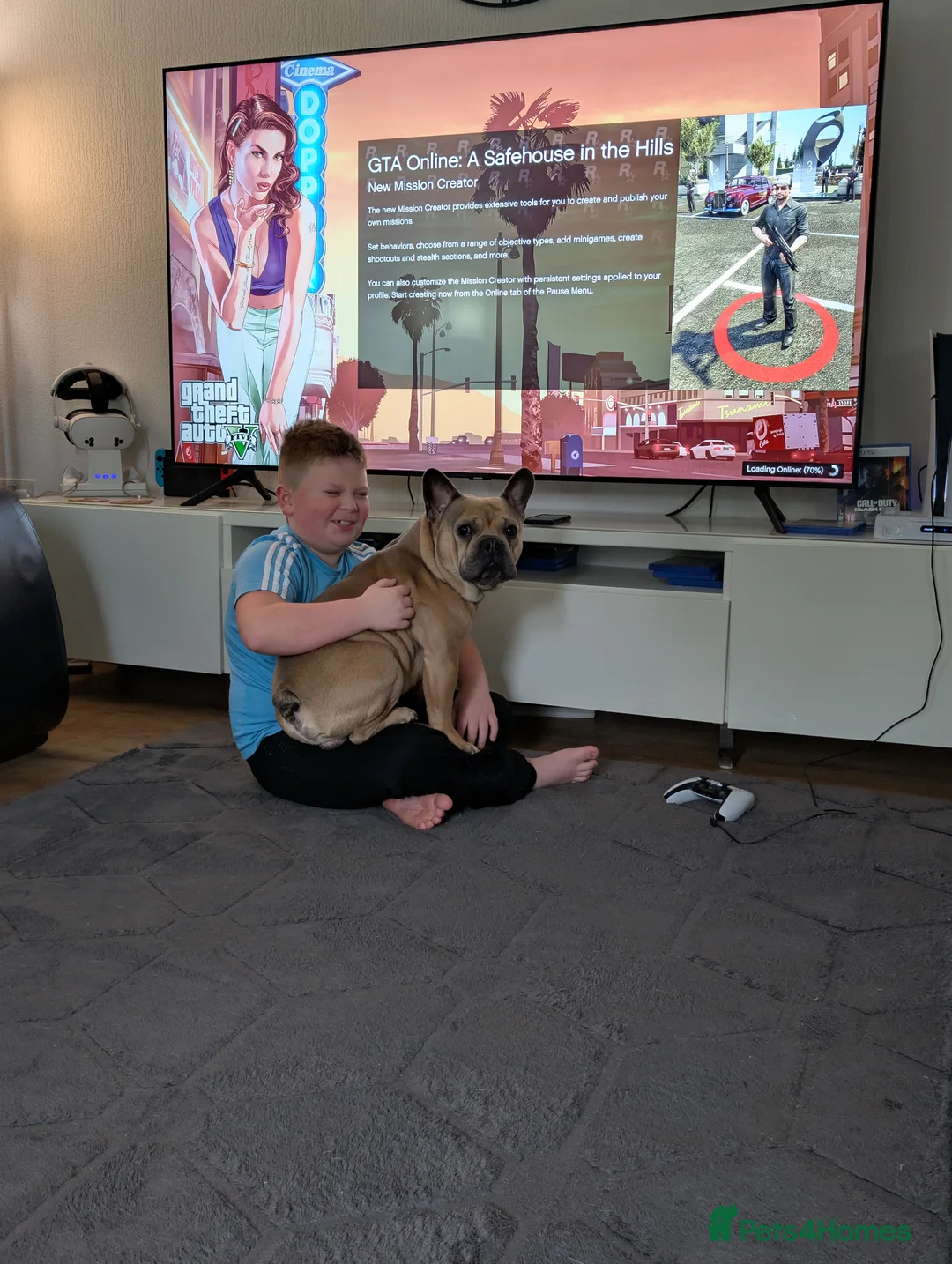 French Bulldog dogs for sale: Max & milo in Dolgellau - Advert 9