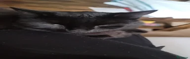Kylo