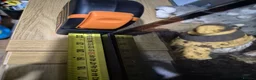 Snails invertebrates for sale: Giant African snails in Northampton - Advert 4