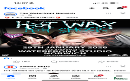 Maine Coon cats for sale: Maine Coon Kittens - Image 16