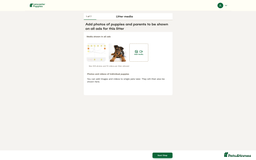 Ferret rodents for sale: bmbmjbn - Image 4