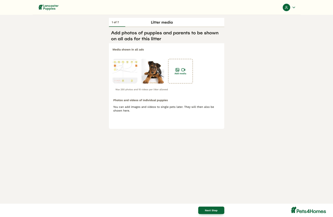 Ferret rodents for sale: bmbmjbn - Image 4