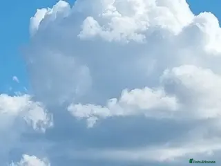 Golden Retriever dogs KC GOLDEN RETRIEVER PUPPIES HEALTH SCORED PARENTS - Advert 2