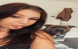 Mixed Breed dogs for sale: Hiya my name is tank - Advert 3