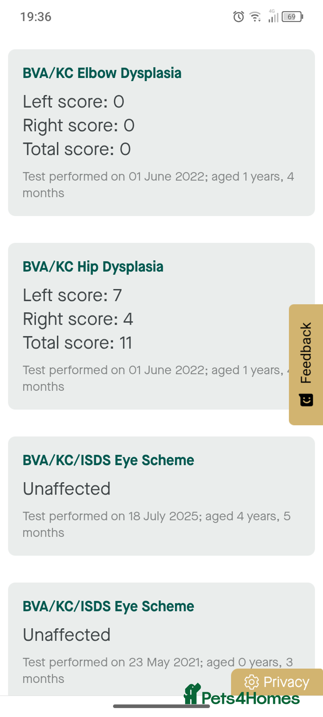 Golden Retriever dogs for sale: 🐶 Dark Golden retriever puppies 🐶 - Advert 6