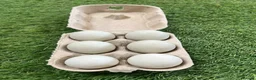 Ducks poultry for sale: Call duck hatching eggs - Advert 3