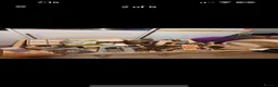 Hamster rodents for sale: Syrian hamster and set up - Advert 3