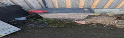 Quail poultry for sale: Full set up for quails. Including 7 young female  in Barnsley - Advert 7