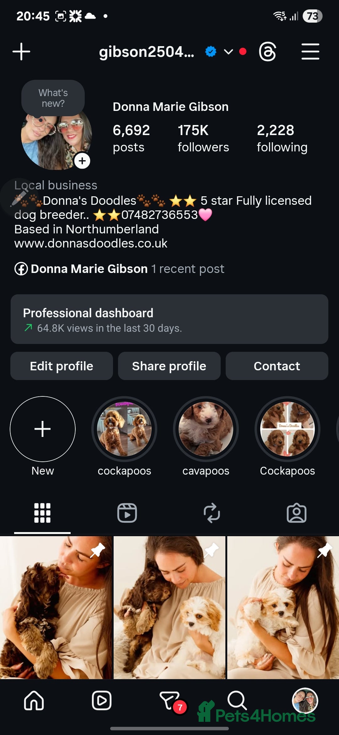 Cavapoo dogs for sale: Stunning f1 cavapoos  - Advert 8