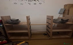 British Shorthair cats for sale: Beautiful soft, fluffy and loving Boys  - Image 6