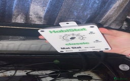 Leopard Gecko reptiles for sale: leopard gecko - Image 4