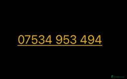 Pomeranian dogs for sale: Pomeranian females *READY TO LEAVE** - Image 8