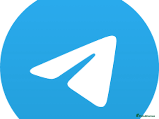 Airedale Terrier dogs Testt - Advert 1