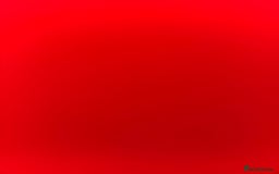 Domestic Shorthair cats for sale: Ginger kitten  - Image 4