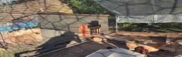 Chickens poultry for sale: Chickens, coop and pen for sale - Advert 10