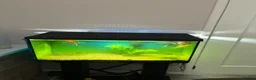 Other/Mixed Breed fish for sale: Tank , light, filter and stand  - Advert 3