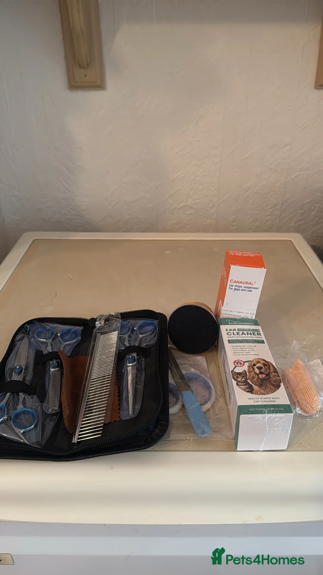 Cockapoo dogs for sale: Beautiful Cockapoo  - Advert 7