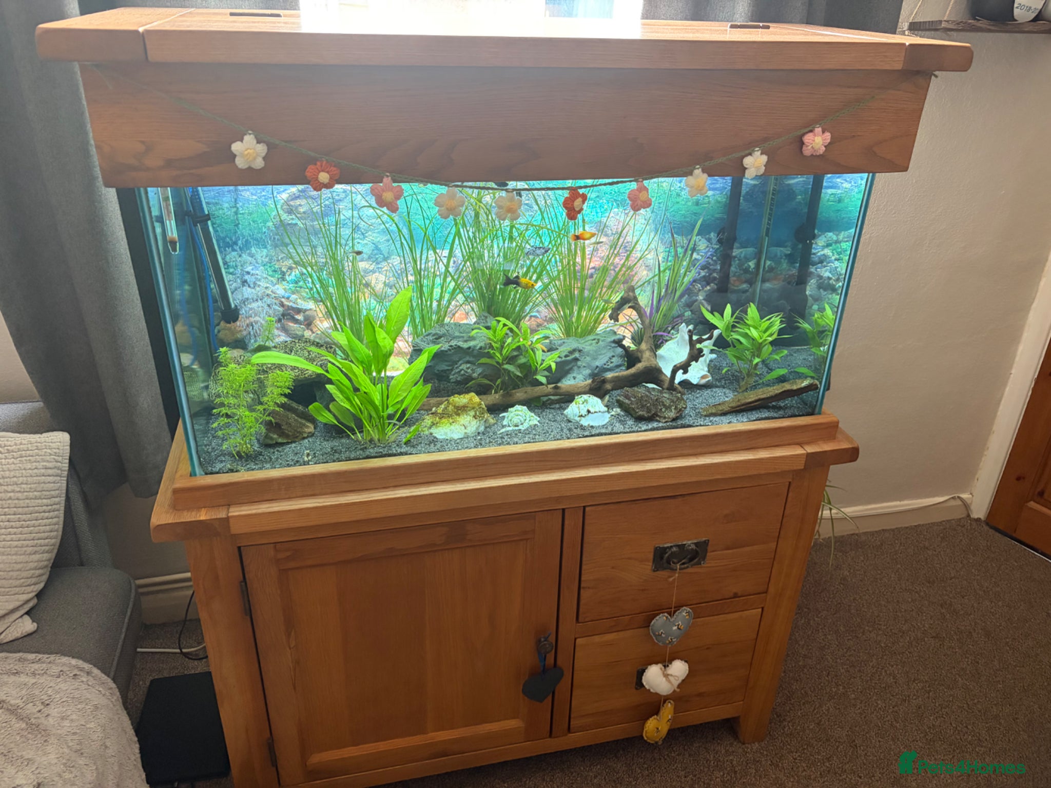 Other/Mixed Breed fish Lovely fish tank and cabinet  - Advert 1
