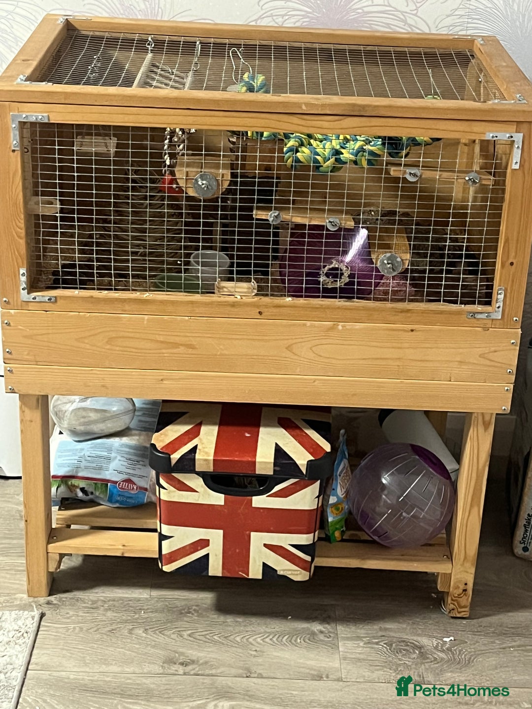 Hamster rodents for sale: Hamster male - Image 5
