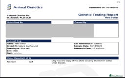 Miniature Dachshund dogs for sale: Miniature dachshunds (pink carriers)  - Image 8