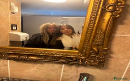 Labrador Retriever dogs for sale: Stunning homebred labs - Advert 20