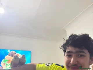 English rabbits Pineapple - Advert 4