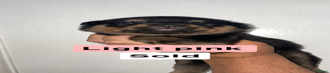 Light pink