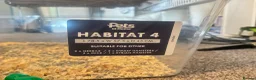 Gerbil rodents for sale: 2 Gerbils and starter set up!  in Birmingham - Advert 9