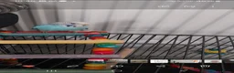 Budgerigars birds for sale: Budgie & Cage in Birmingham - Advert 2