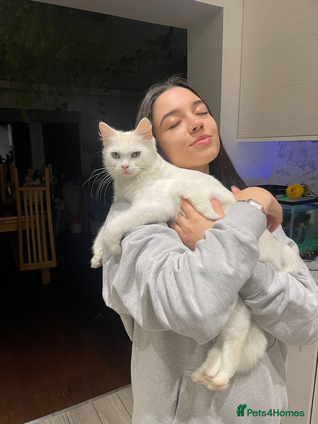 Gallery Image {{count}}