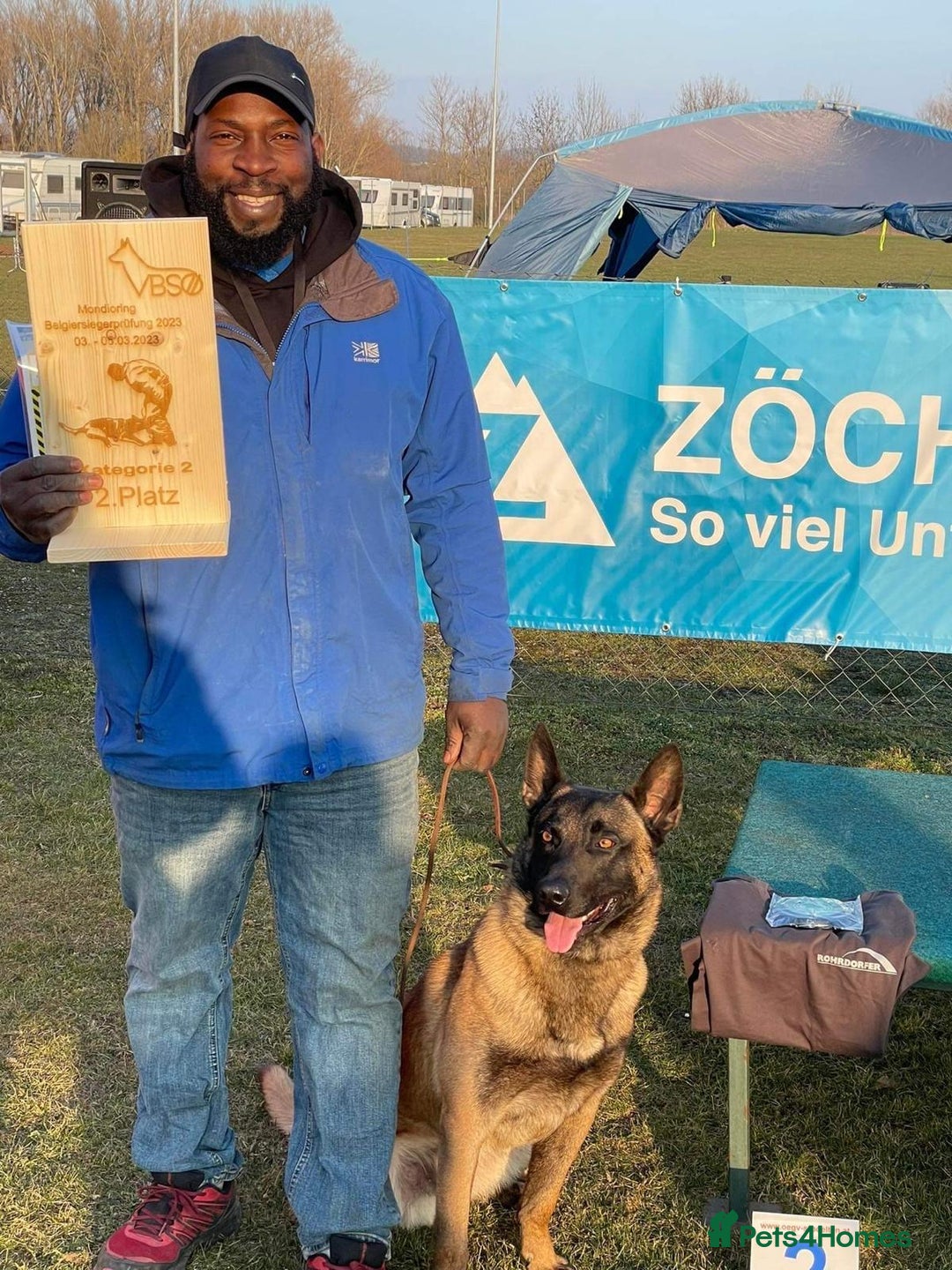 Belgian Shepherd Dog dogs for sale: Belgian Malinois is due before 5th of January - Advert 15