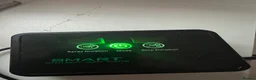 Frog reptiles for sale: 2 tree frogs + fully bioactive enclosure - Advert 6