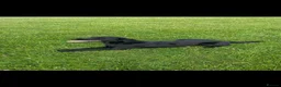 Labrador Retriever dogs for sale: Georgous litter of male working Labradors - Advert 7
