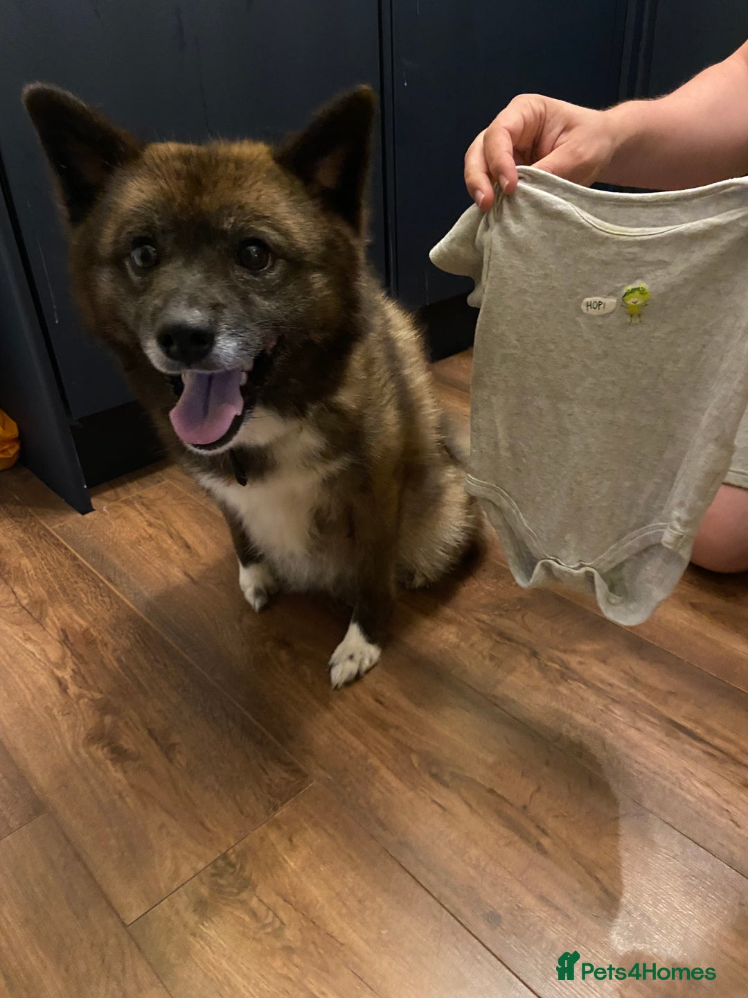 Gallery Image {{count}}