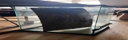 Gecko reptiles for sale: Zoomed 45x45x60cm Terrarium/Reptile Enclosure in Huntingdon - Advert 4