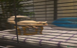 Sugar Glider rodents for sale: Twin Sugar Gliders  - Image 1