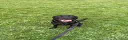 Labrador Retriever dogs for sale: Beautiful Black Labrador  in Cwmbran - Advert 1