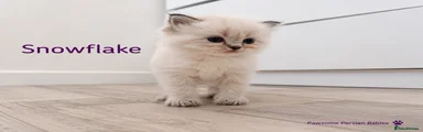 Snowflake