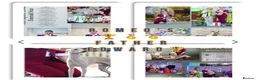 Italian Greyhound dogs for sale: 5 STUNNING WIGGYS - Advert 7