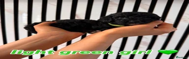 Mixed Breed 2