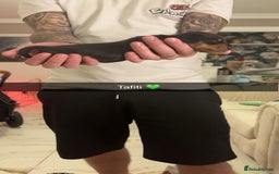 Miniature Dachshund dogs for sale: FOR SALE *Miniature dachshund puppies*  - Image 27