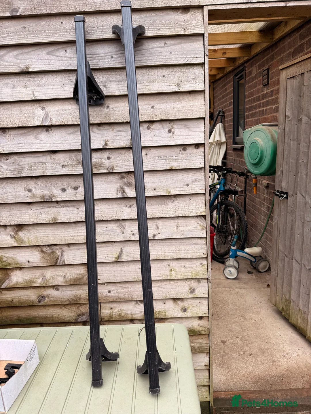 Cockapoo dogs for sale: Female Cockerpoo  - Advert 5