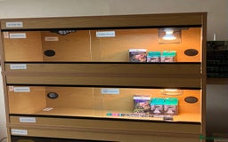 Leopard Gecko reptiles for sale: Leopard Gecko + Vivarium Setup Kit - Image 2