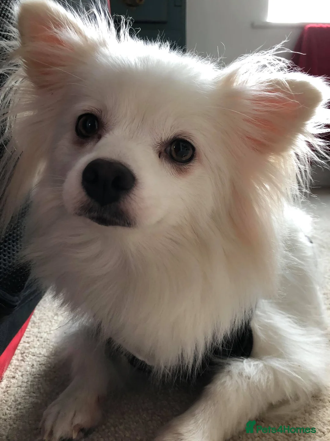 Gallery Image {{count}}