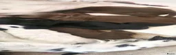 English Springer Spaniel dogs for sale: Springer Spaniel Puppies  - Advert 7