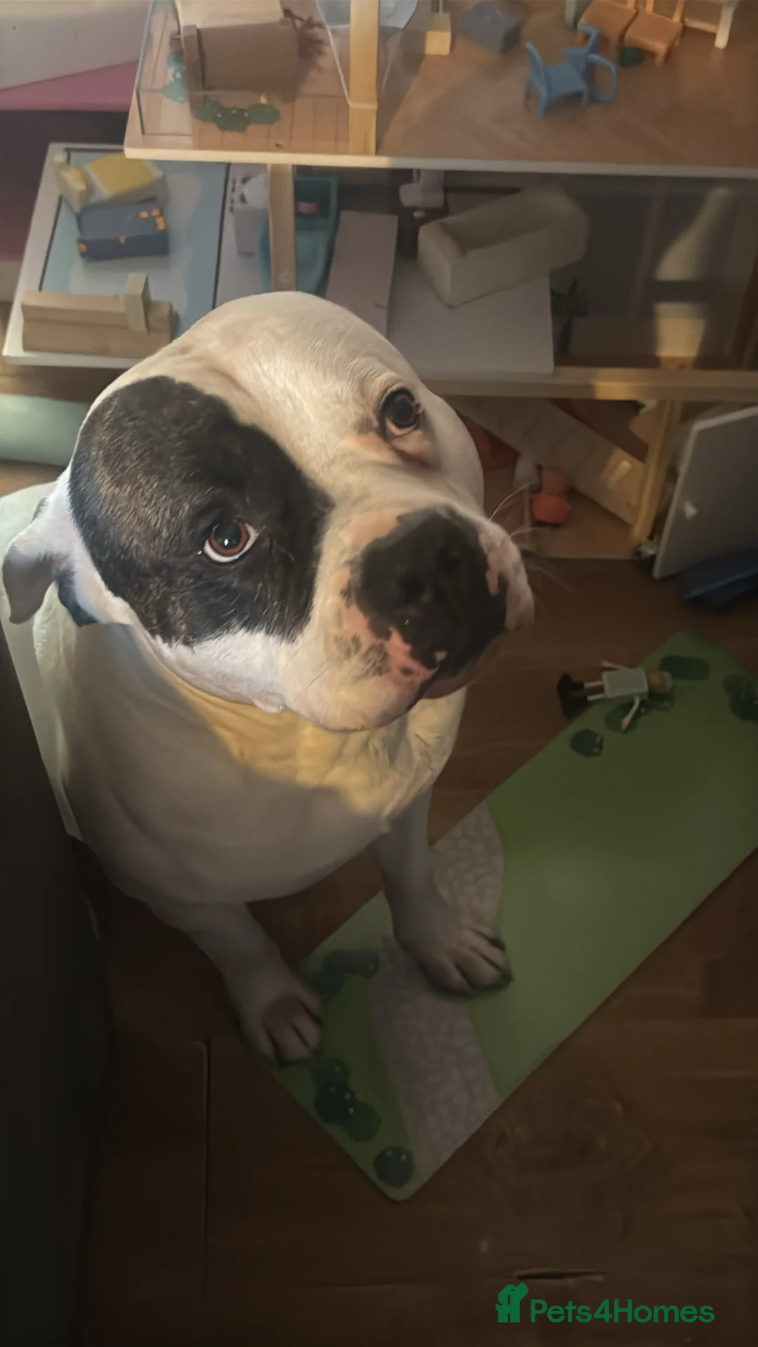 Gallery Image {{count}}