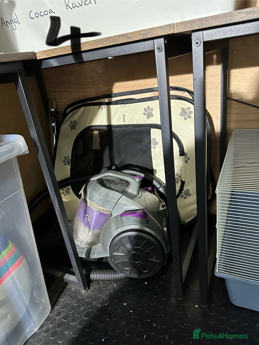 Rat rodents for sale: Rats & complete set up - Image 26