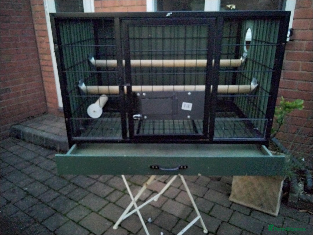 Parrots birds for sale: Breeding cages for parrots - Advert 2