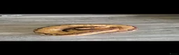 Python Snake reptiles for sale: Special clown ball python  - Advert 1