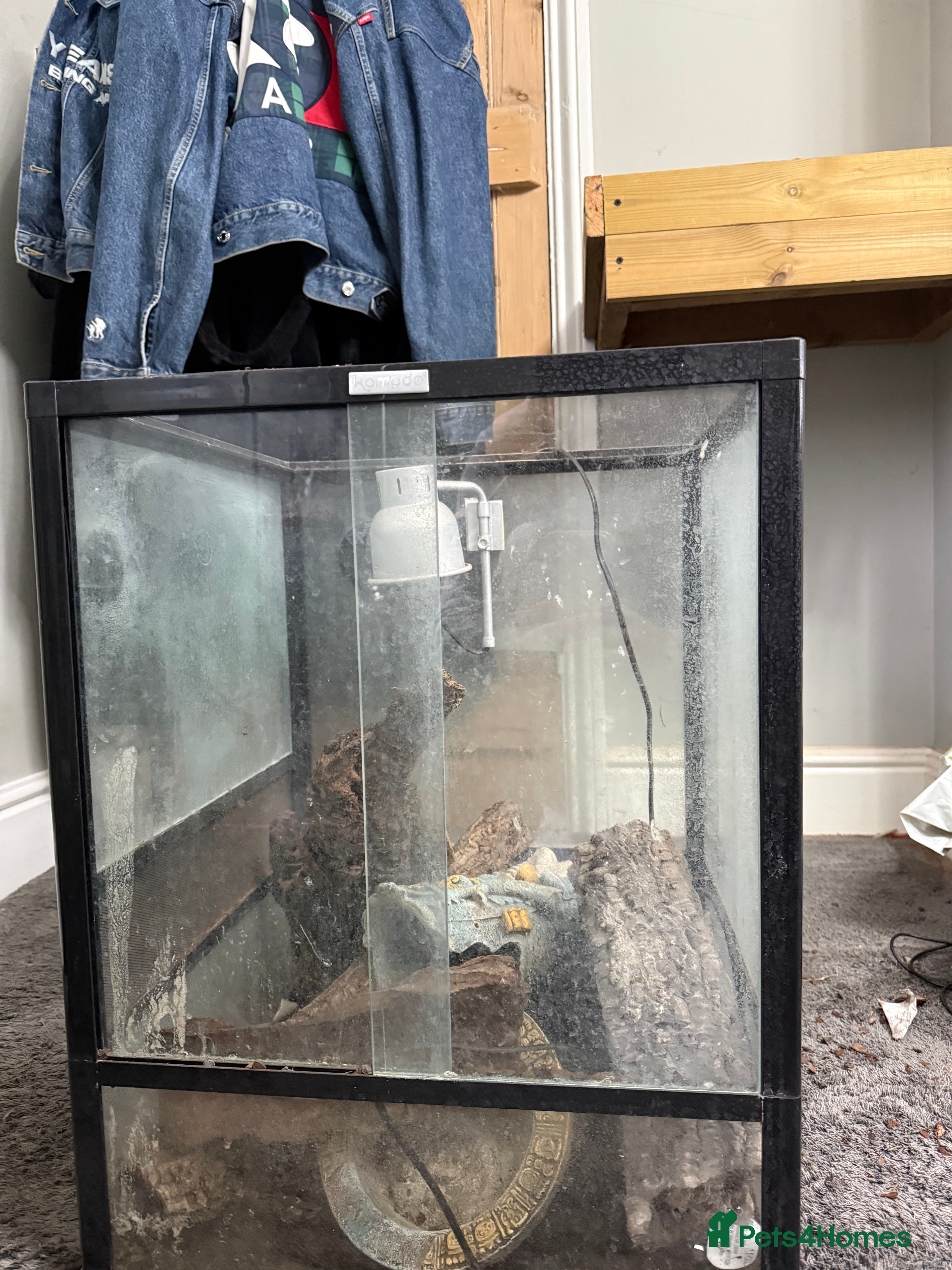 Mixed Breed reptiles Viv for sale  - Advert 18